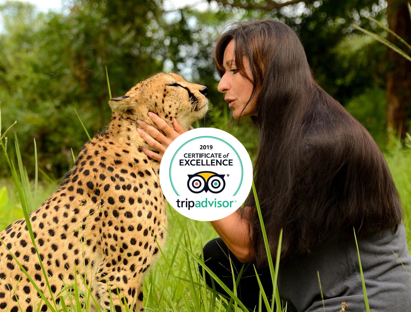 Testimonials | Cheetahs Rock, Zanzibar - A Once in a (Wild-) Lifetime  Experience