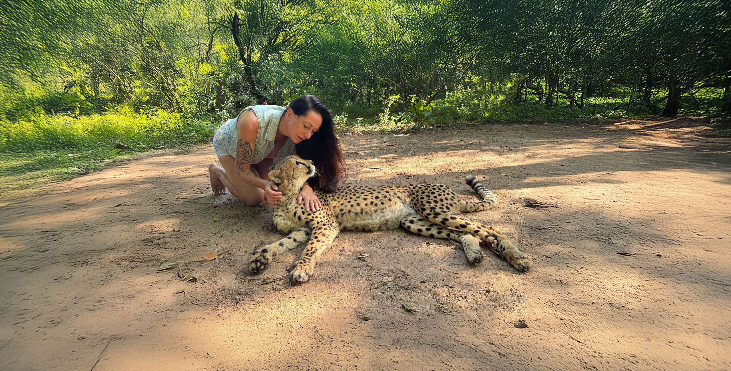 Mark Segal　Cheetah　絶滅危惧種　アフリカ Cheetah's Rock - Ethical Wildlife Encounters on Zanzibar